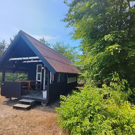 Tranum Klit Camping Og Hytteudlejning Brovst Buitenkant foto
